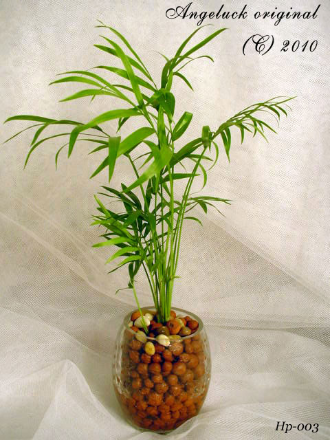  gift. Send flowers for Valentine's, birthdays, and special occasions