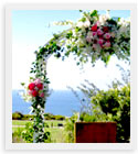 wedding coordination plan